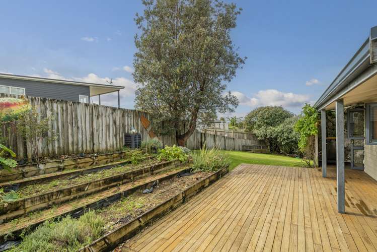 6 Rabbit Way Whitianga_11
