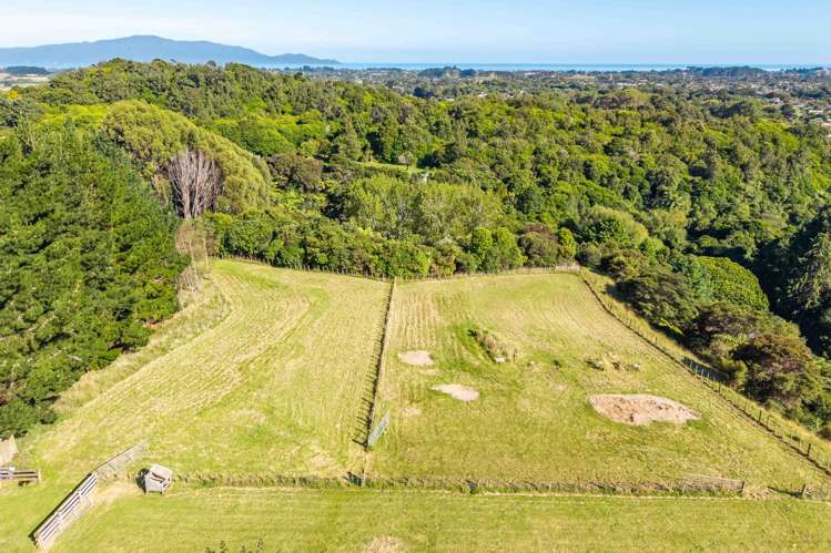 91 Aston Road Waikanae_31