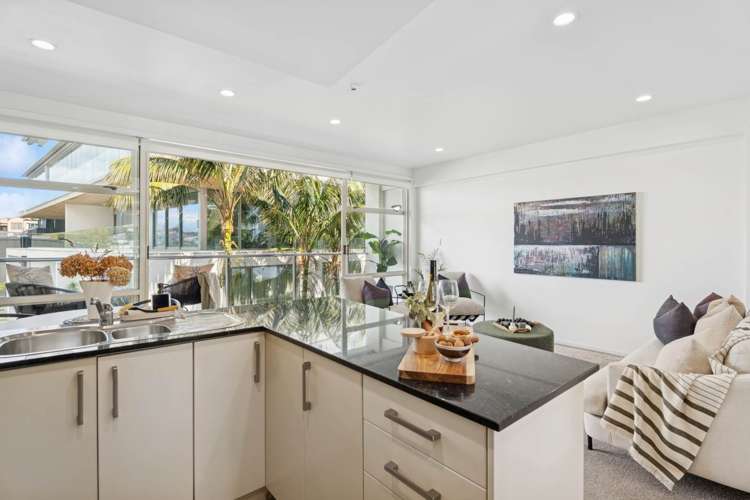 Y14/30 York Street Parnell_3