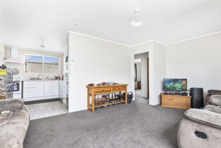 48a Livingstone Avenue Nawton_5