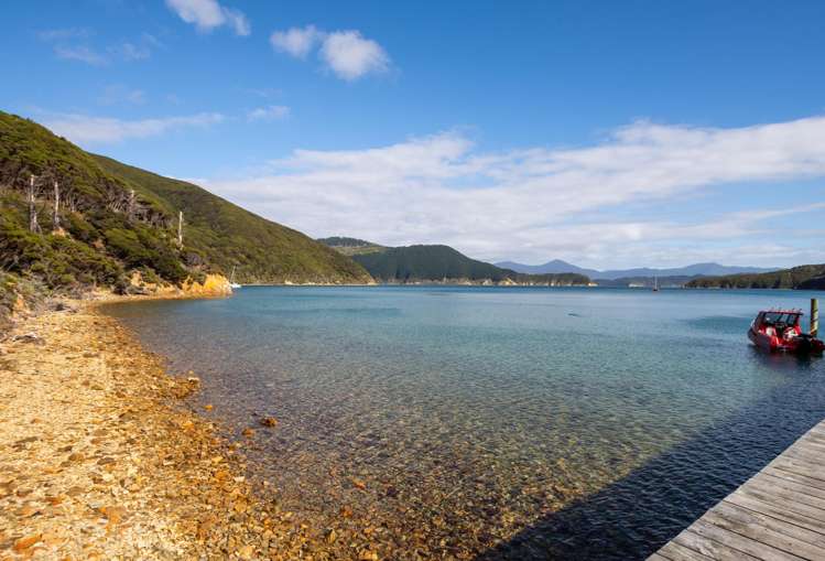 Lot 4 + 5 Te Aroha Bay, Otanerau Bay Marlborough Sounds_50