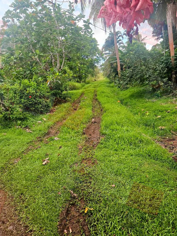 Address withheld Savusavu_15