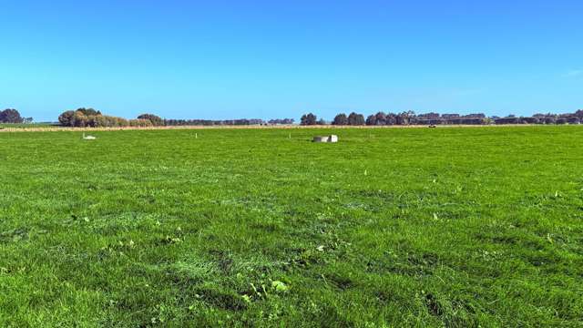 81 Tapper Road Mokotua_1