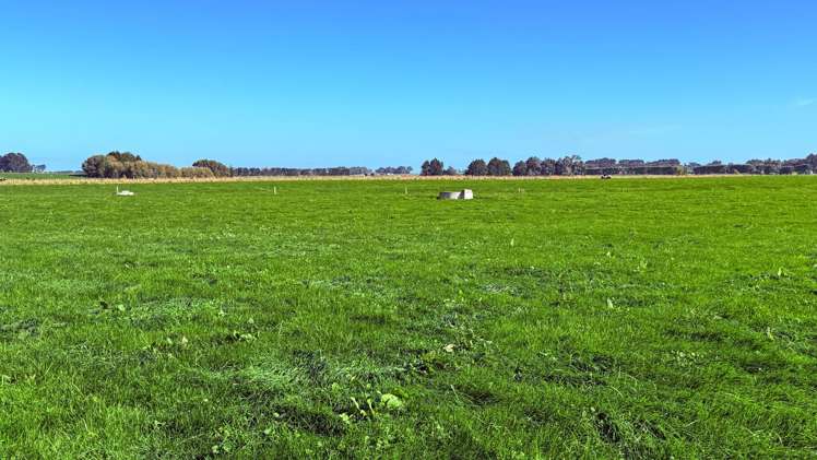 81 Tapper Road Mokotua_1