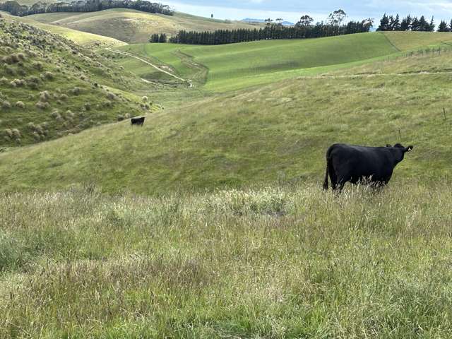 148 Tapui Homestead Road Oamaru_2