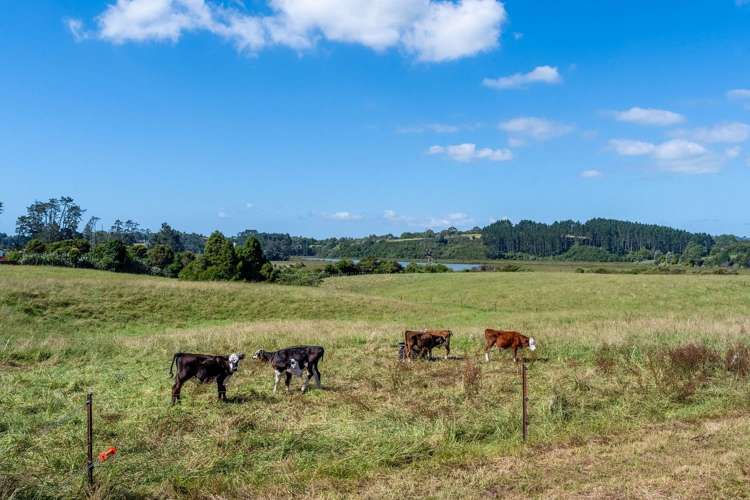 141 Wades Road Whitford_20