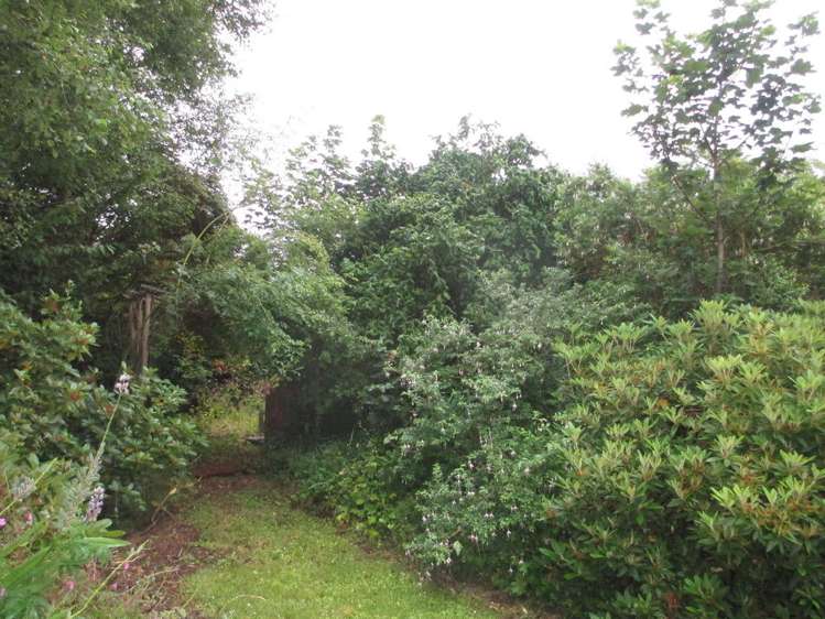 869 Tahakopa Valley Road Catlins Surrounds_19