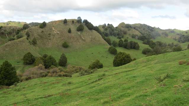 A good sized grazing block