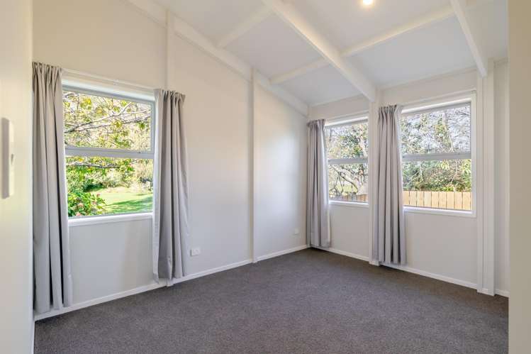 7 Fagan Street Bulls_15