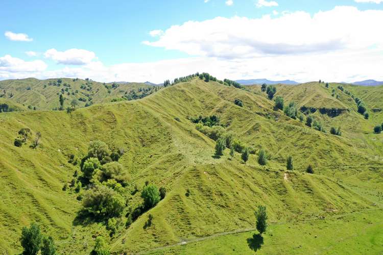 174 Clydebank Road Wairoa_16