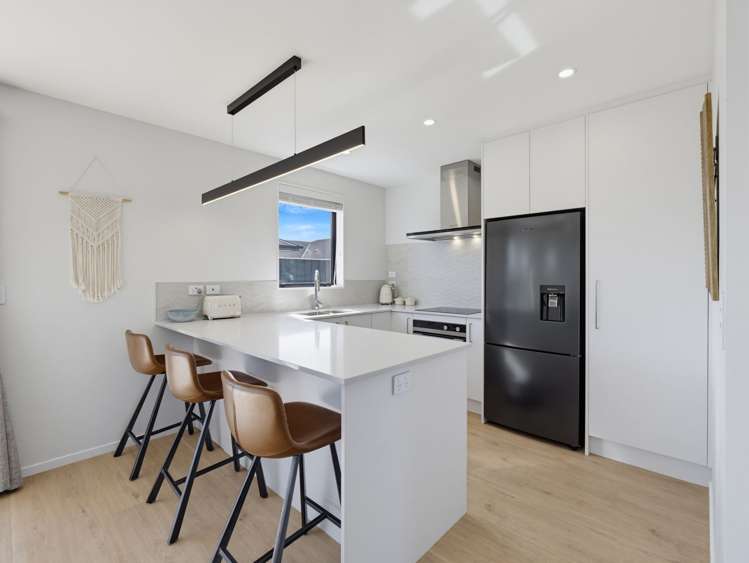 50 Matai Springs Drive_2