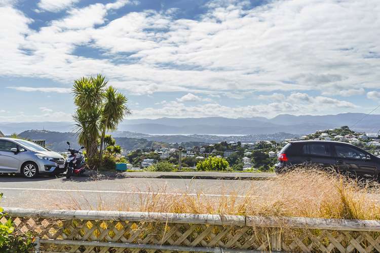 132 Mitchell Street Brooklyn_2