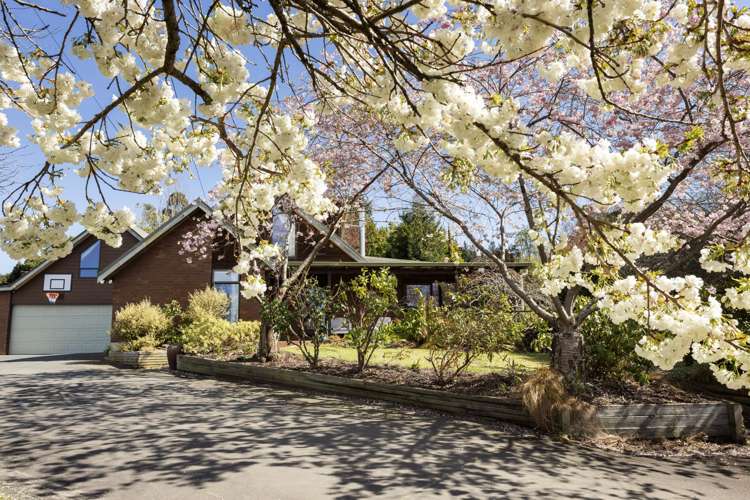 51 Flower Street Fairfield_10