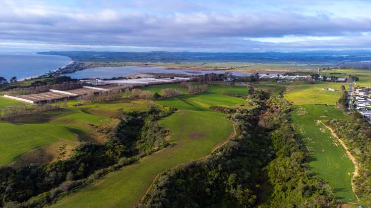 11 Williams Crescent Maketu_7