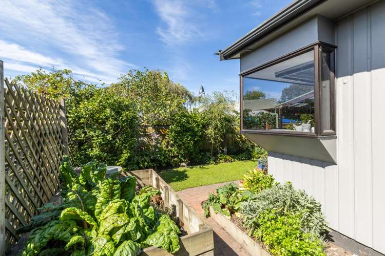 3/32 White Street Taradale_19