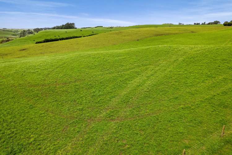 2A Ropata Street Hawera_25