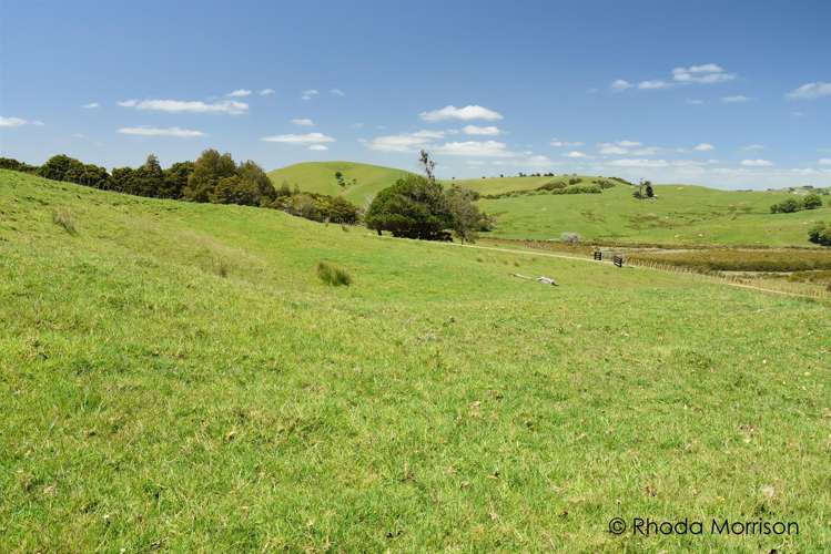 321 Heatley Road Whakapirau_34