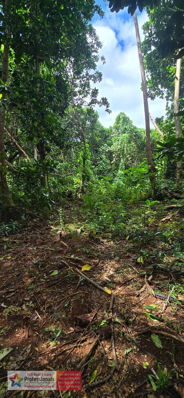 Address withheld Savusavu_29