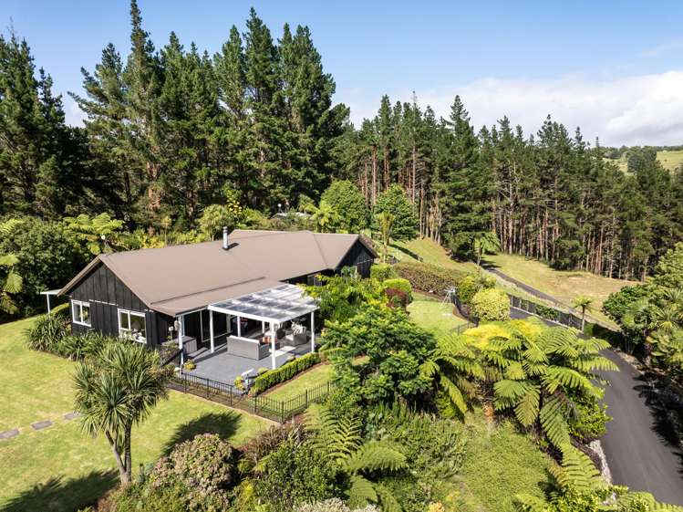 2252 SH29 Lower Kaimai_4