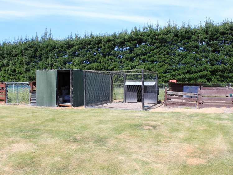 1199 Telegraph Road Darfield_17