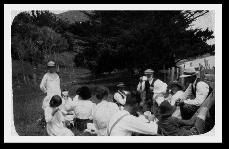 167 Summer Road Tinopai_52