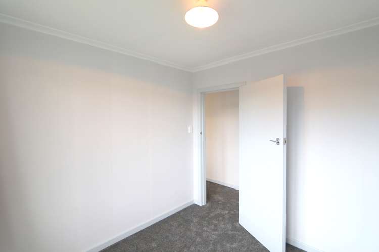 57 Stuart Street Hawthorndale_13