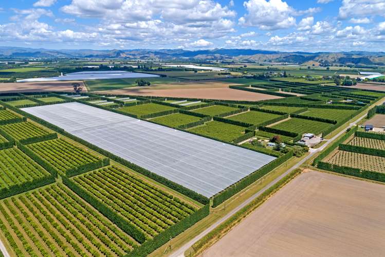 104 College Road Hexton_8