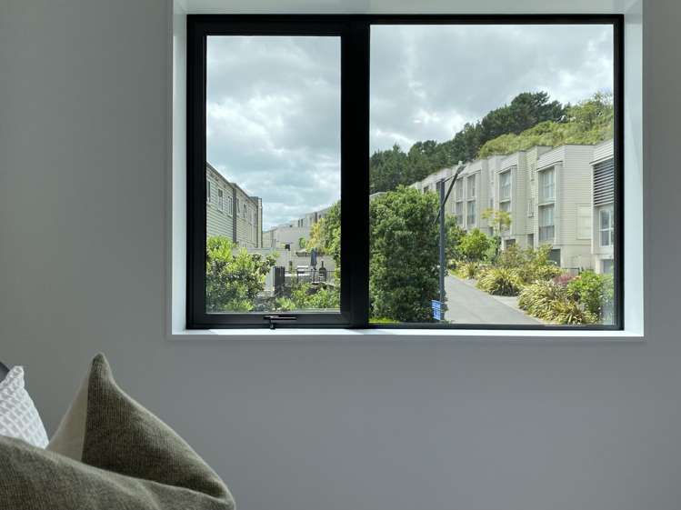 3 Hochstetter Stonefields_11