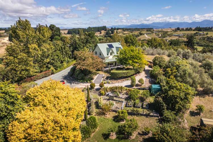 44 Mamaku Road Tasman_22