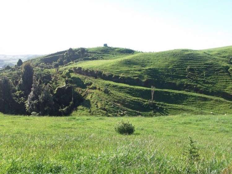 446 Stanley Road Te Popo_56