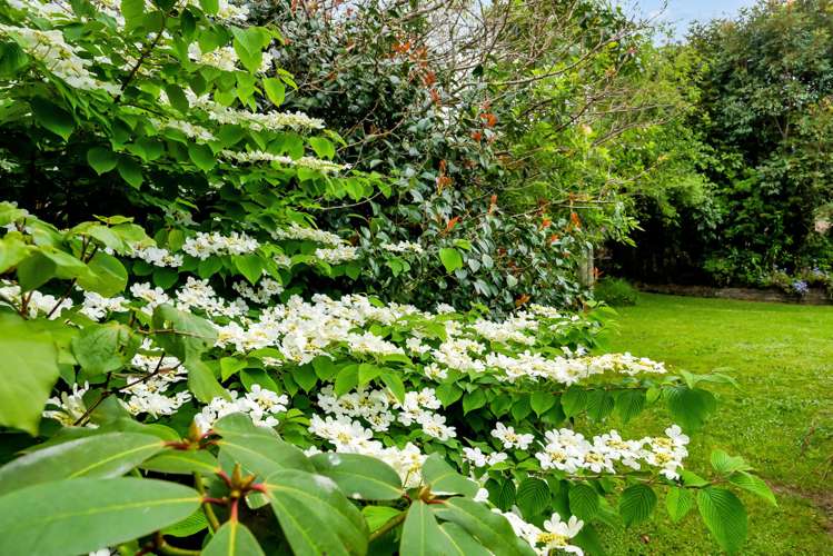 26 Shelter Grove Frankleigh Park_30