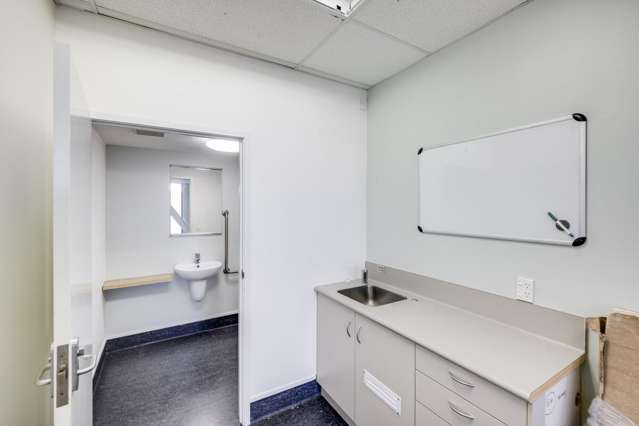 105a Raffles Street Napier South_2