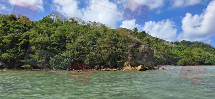 Address withheld Savusavu_11