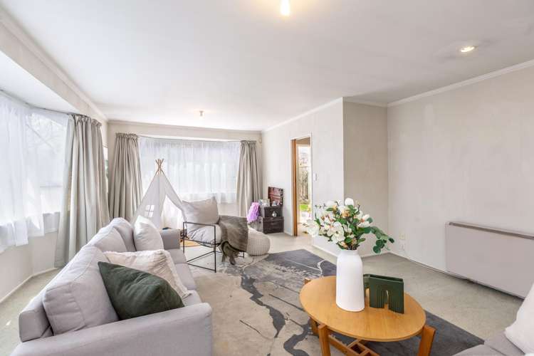 41b Cole Street Masterton_2