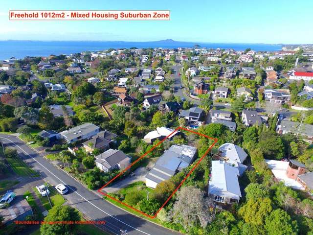 Develop, Dwell, Land Bank: 1,012 Goldmine