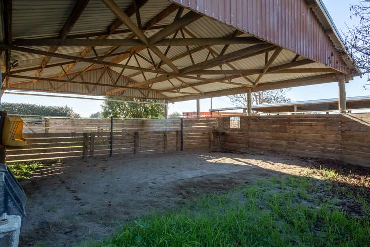 19 Brinkworth Road Tamahere_21