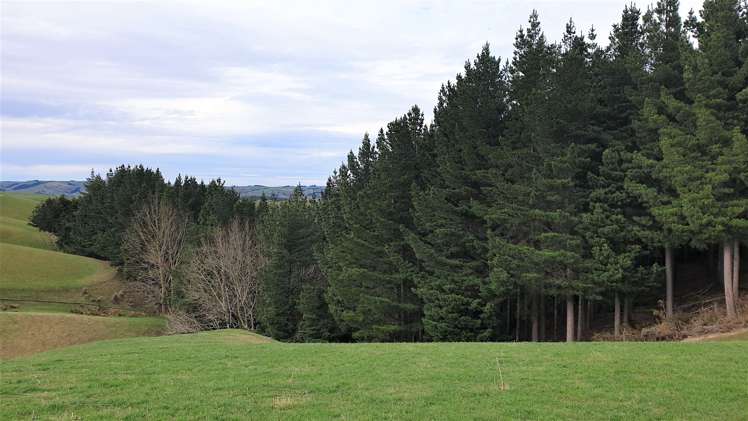 Tuapeka West Road Lawrence_0