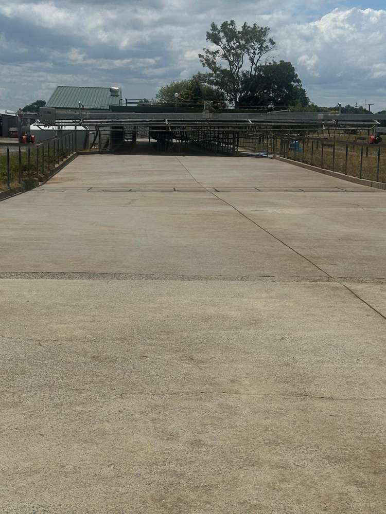 51a Waverley Road Gordonton_11