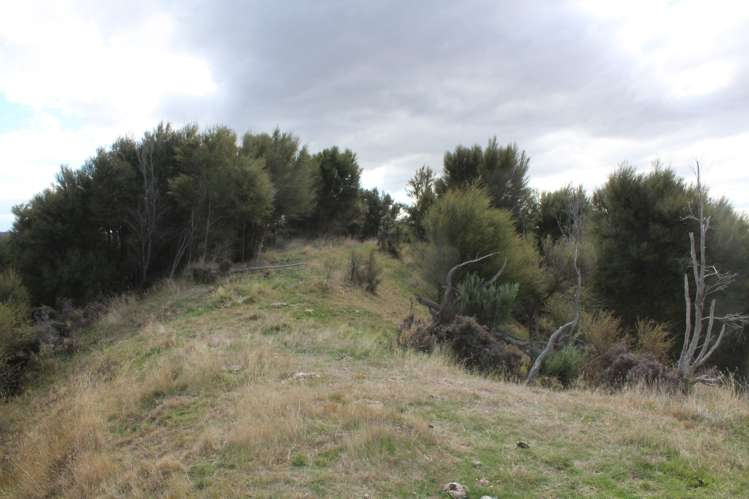 299 Branscombe Road Pongaroa_5