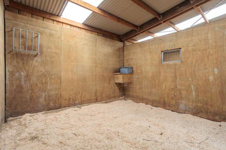 376 Morgan Road Matamata_22