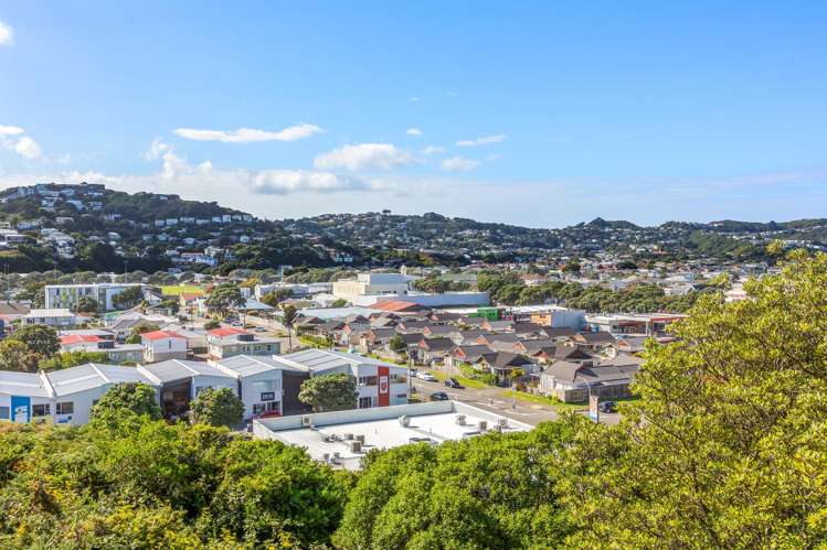 36 Maupuia Road Miramar_11