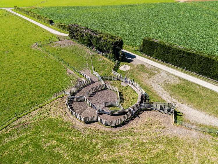 1710 Ealing Montalto Road Ashburton_21