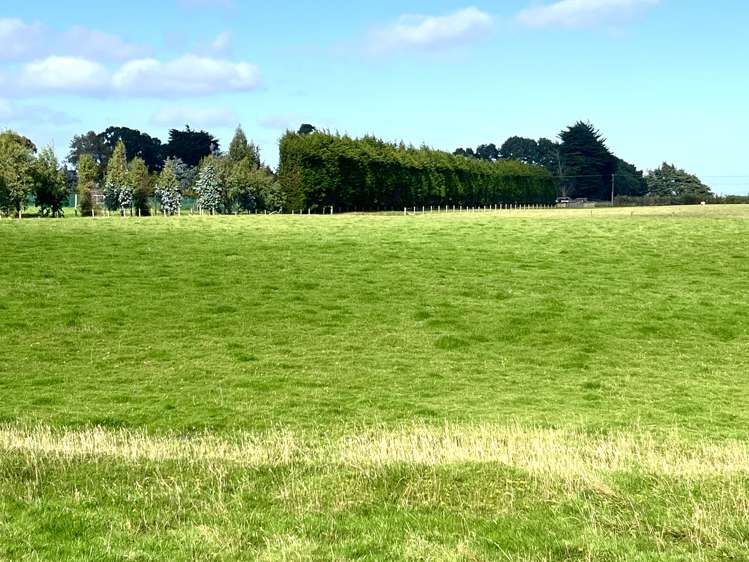 154 Moore Road Lorneville_5