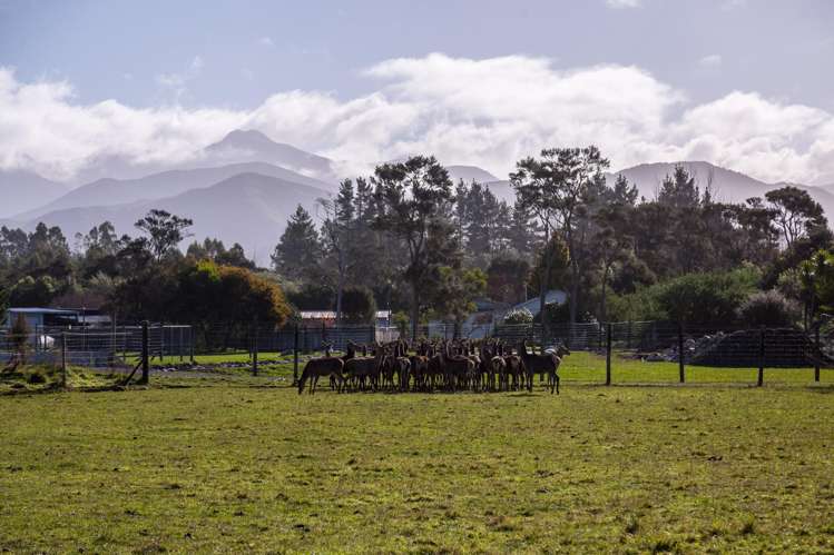 707 Norfolk Road Carterton_21