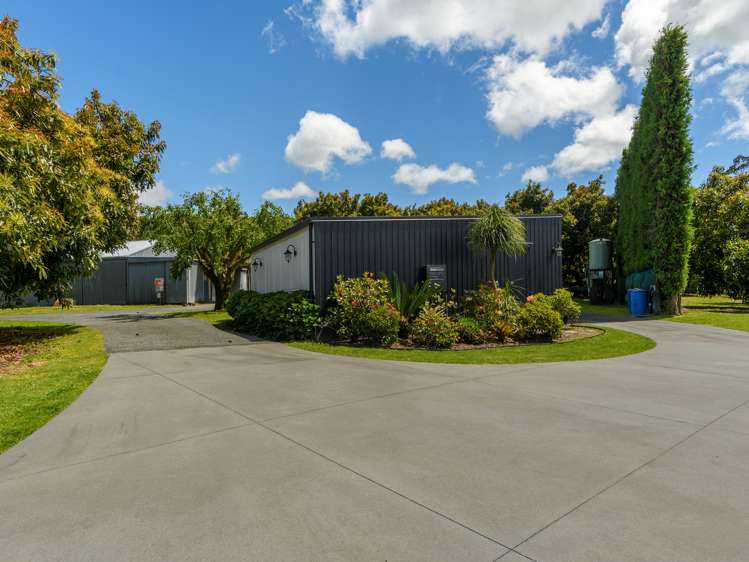 383 Old Highway Whakamarama_8