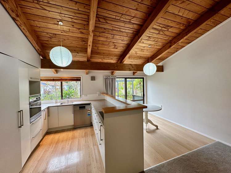 22 Elmira Avenue Browns Bay North Shore City Houses for Rent