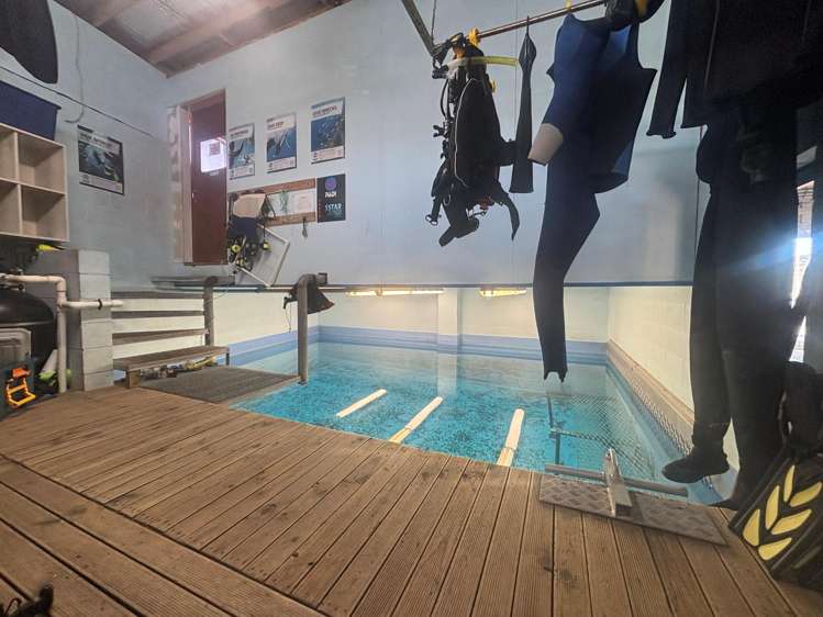 9 Marina View Paremata_4