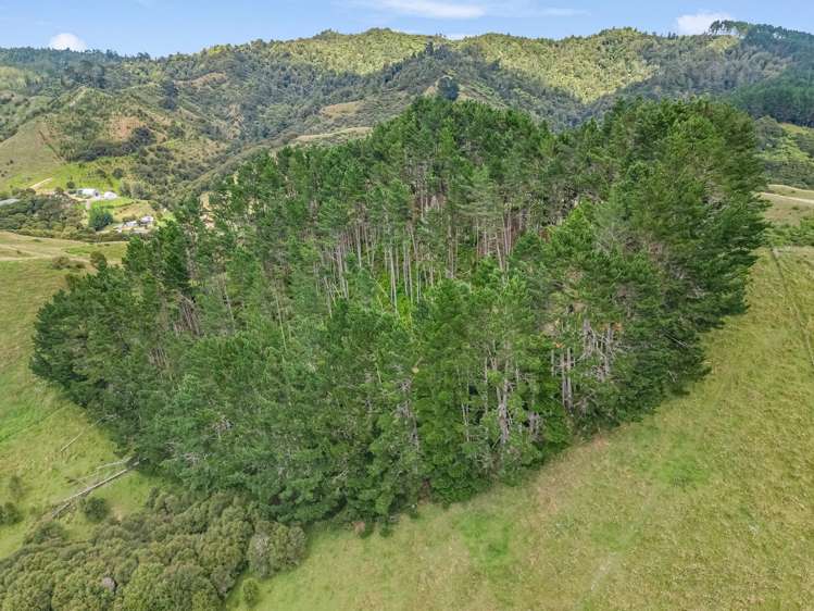 80 Aley Road Mangatawhiri_23