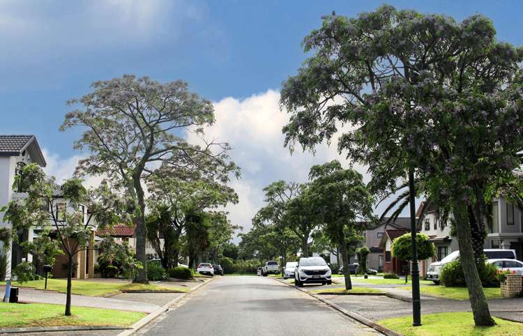 43/1 Piriti Drive Te Atatu Peninsula_21