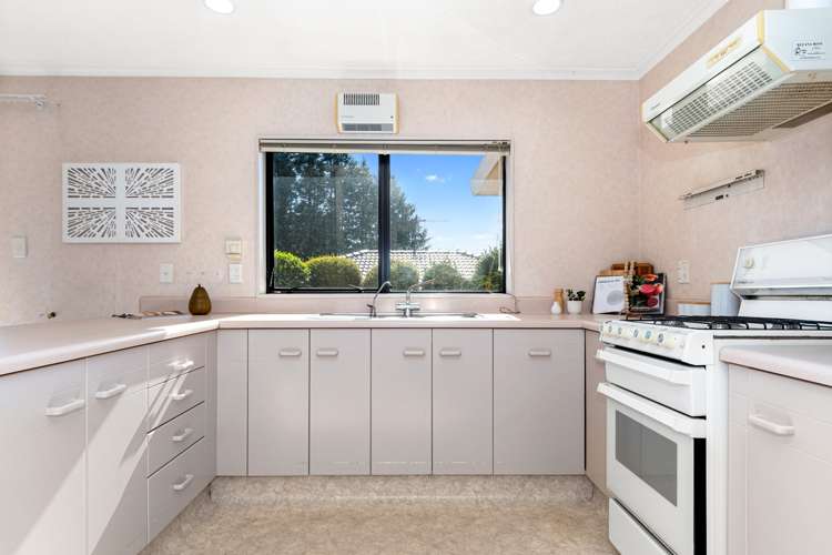 6b Camellia Place Greerton_7